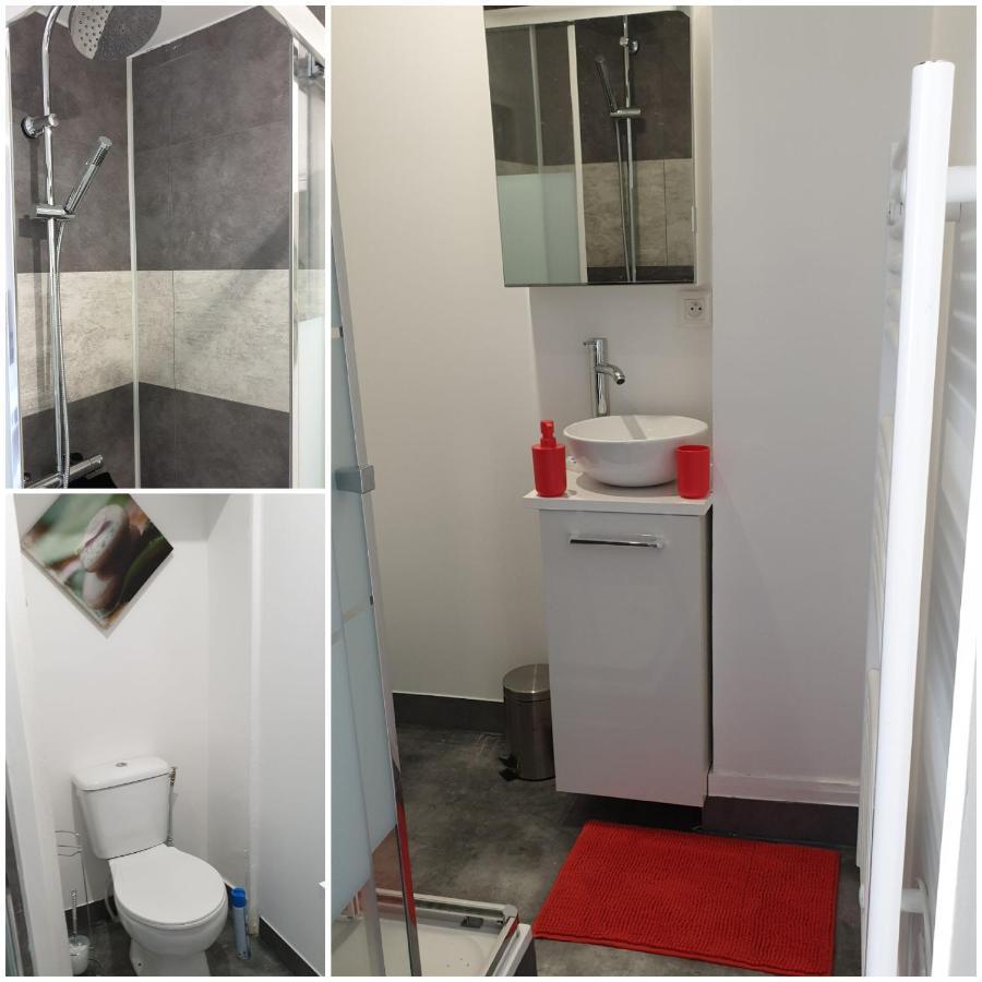 Chambres Poitiers Centre Ville - Salle de Bain, Réfrigérateur, TV et machine à café privatifs - Cuisine commune - Terrasse - Hôtel de ville à 200m Extérieur photo